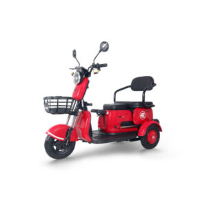 Tricicleta Electrica RDB RABBIT25, 1000W, fara permis, 25kmh 1