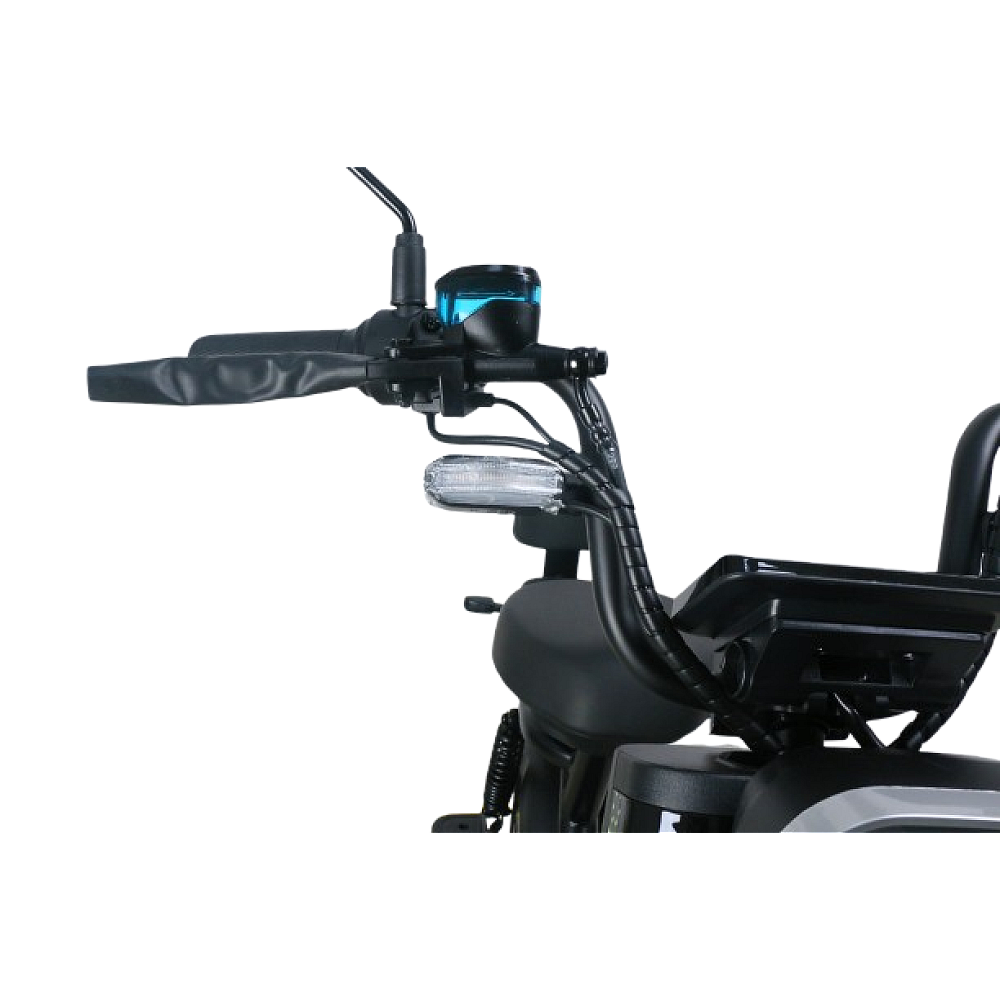Scuter Electric RDB ROMA, 600W, fara permis, 25km/h - imagine 9