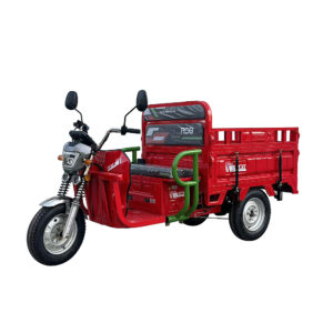 Triciclu electric RDB X-Klass4 PLUS 3500W - imagine 1