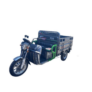 Triciclu electric RDB XL-Klass4 PLUS 4000W - imagine 1